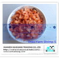 Wholesale frozen dried shrimp meal(midium size)